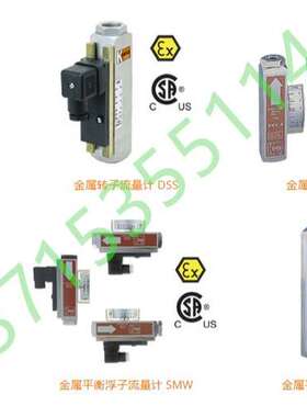 DSV-3/SWK-13/1/2/DSS/SMV/SMO/SMW/SMN科宝KOBOLD浮子流量计开关