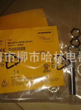低价直销 TURCK 图尔克接近开关BI2-M12-RN6X-H1141
