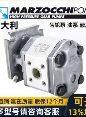 意大利马祖奇齿轮泵马达MARZOCCHI ALP2BK1-D- 6 9 10 12 22 25