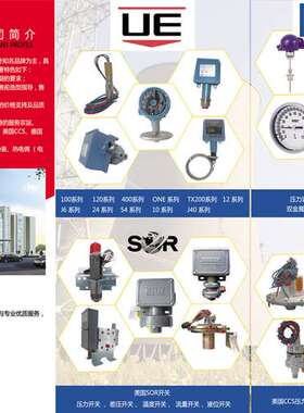 供应TR30温度传感器 威卡PT100温度变送器 TR30-P