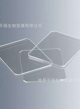 0350000 细胞计数板盖玻片 20 × 26 × 0.4 mm