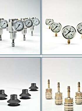 德国RIEGLER压力表 Nr.259.09 B，PAN-4x075-BL