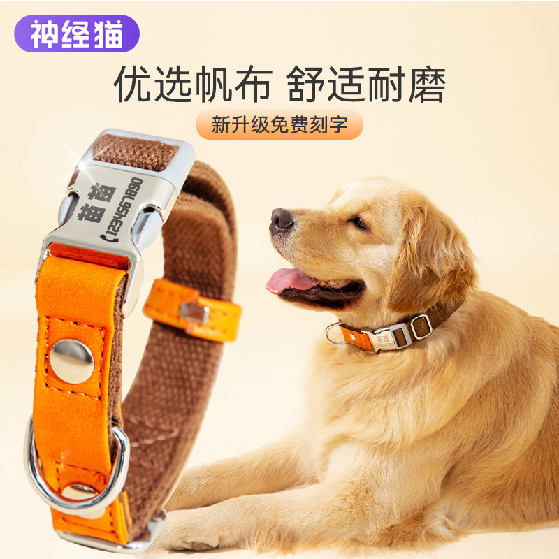 宠物狗狗项圈刻字防丢脖圈金毛中大型犬泰迪小型犬颈圈牵引绳用品