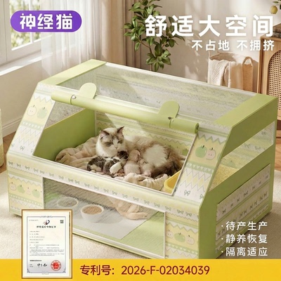 26年新可视化猫产房，铲屎官必备