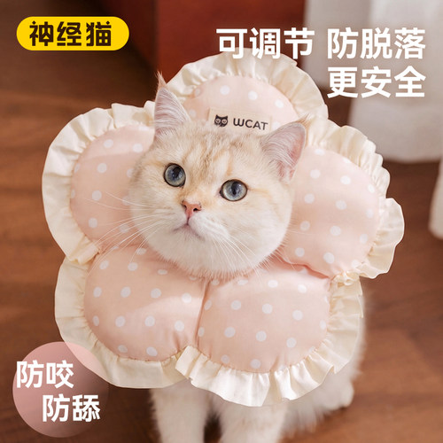 猫咪驱虫绝育必备！防水耐脏项圈
