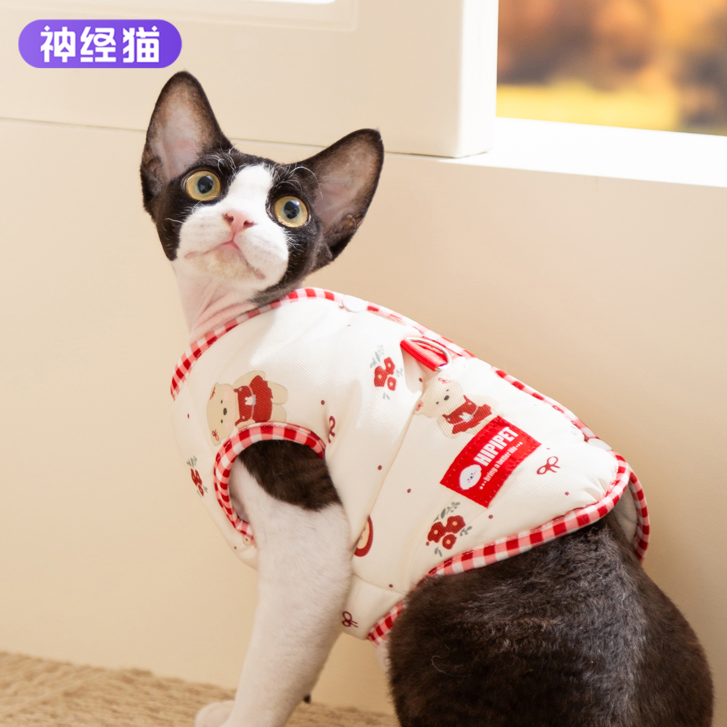 猫咪卡通满印牵引马甲冬季防着凉