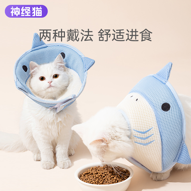 伊丽莎白圈猫咪绝育项圈