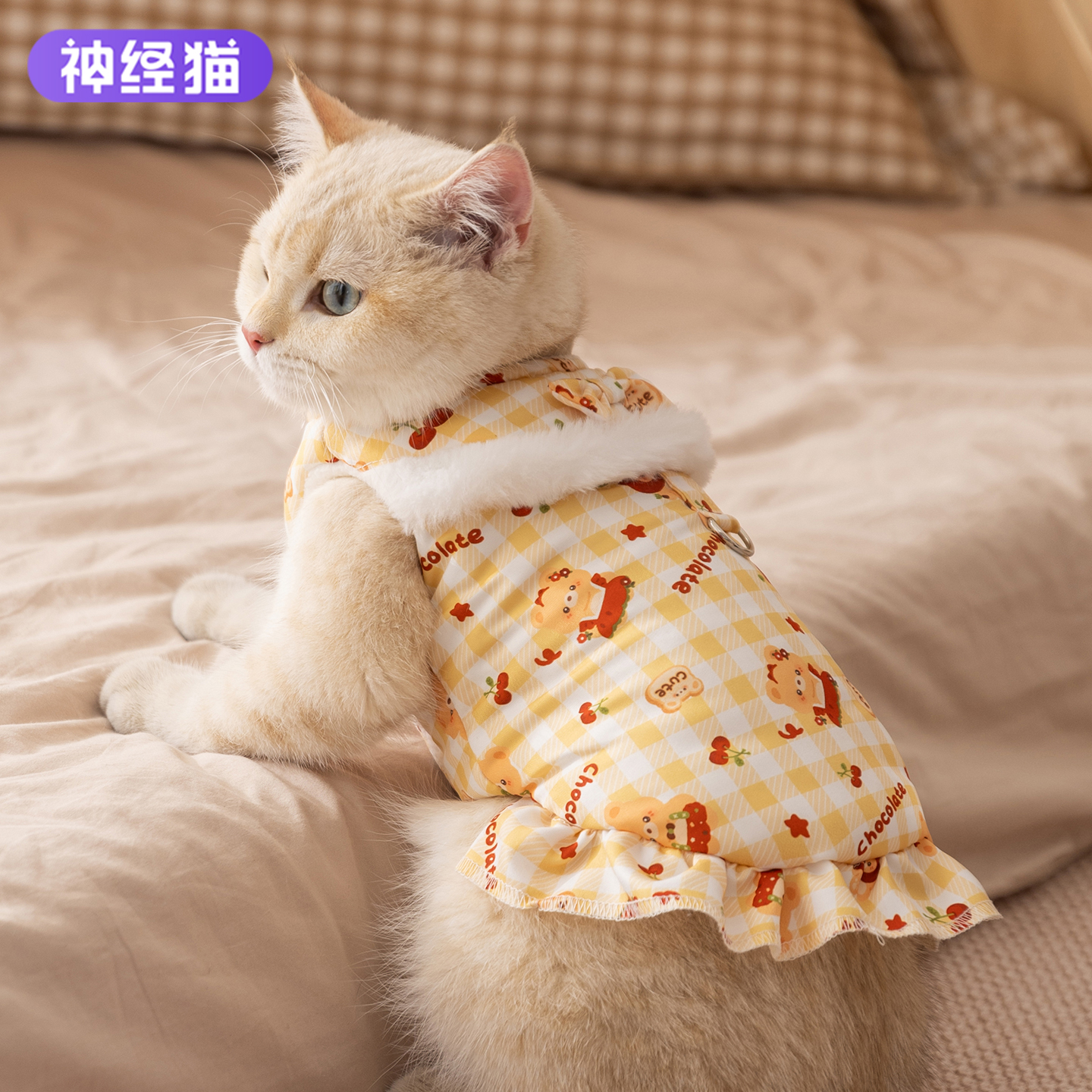 猫咪冬季马甲带牵引加厚防着凉