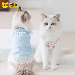 小猫咪衣服薄款夏季防掉毛背心布偶猫无毛猫宠物德文猫防着凉肚兜