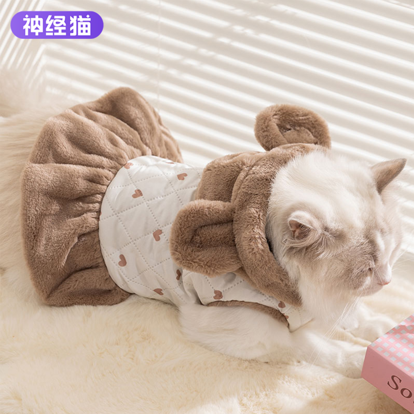 猫咪衣服连衣裙冬季保暖专用