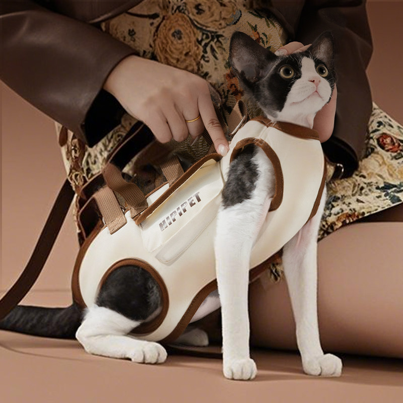 猫包外出便携猫咪宠物外出包轻便款溜猫神器斜挎露头单肩背带牵引