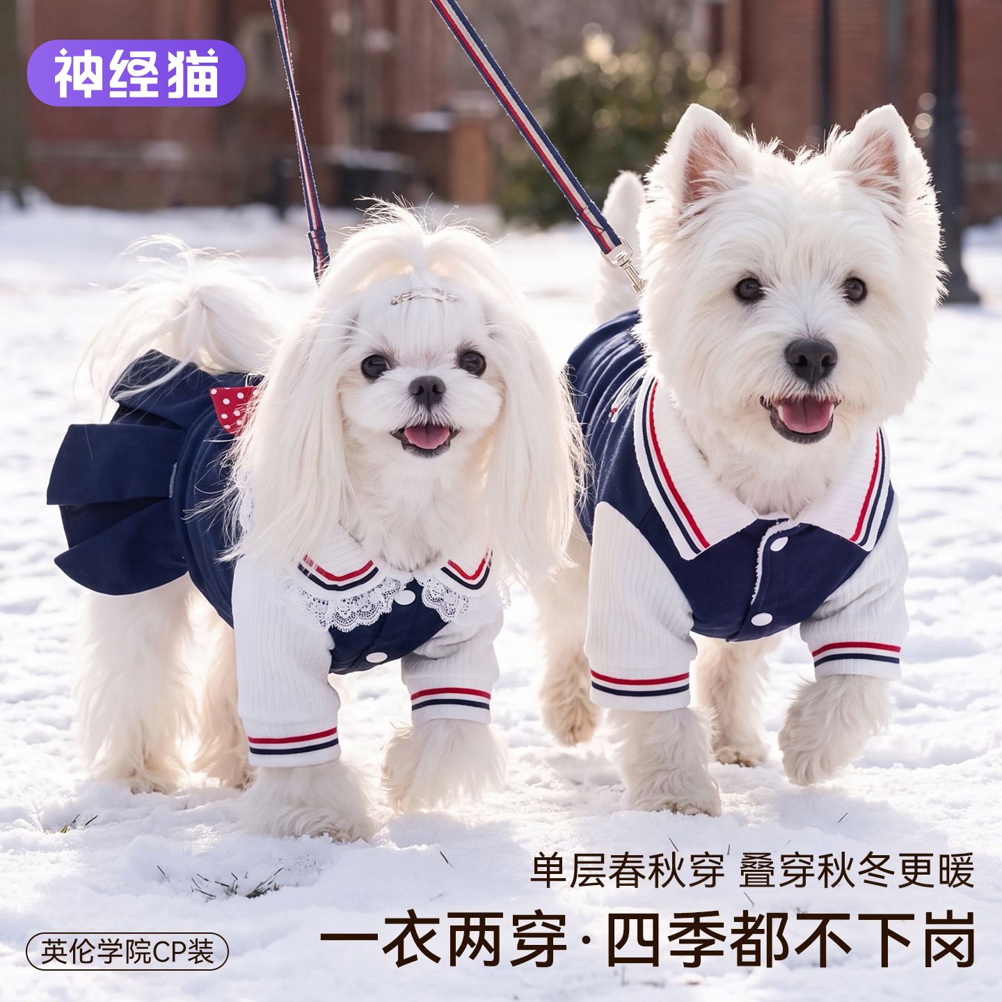 狗狗衣服新款秋冬保暖透气小狗防掉毛秋冬情侣装学院风宠物衣服