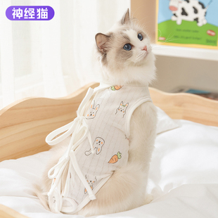 小猫猫布偶英短德文防掉毛防舔母猫手术服 猫咪绝育服宠物衣服夏款