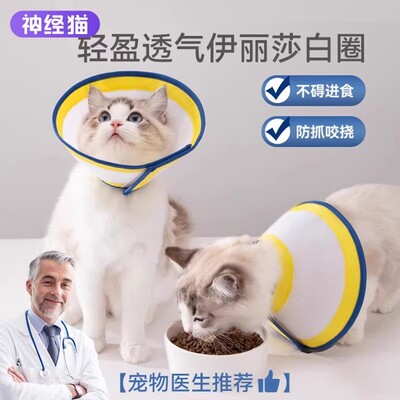 伊丽莎白圈猫绝育颈圈猫咪羞耻圈防舔围脖头罩狗狗头套防咬软脖圈