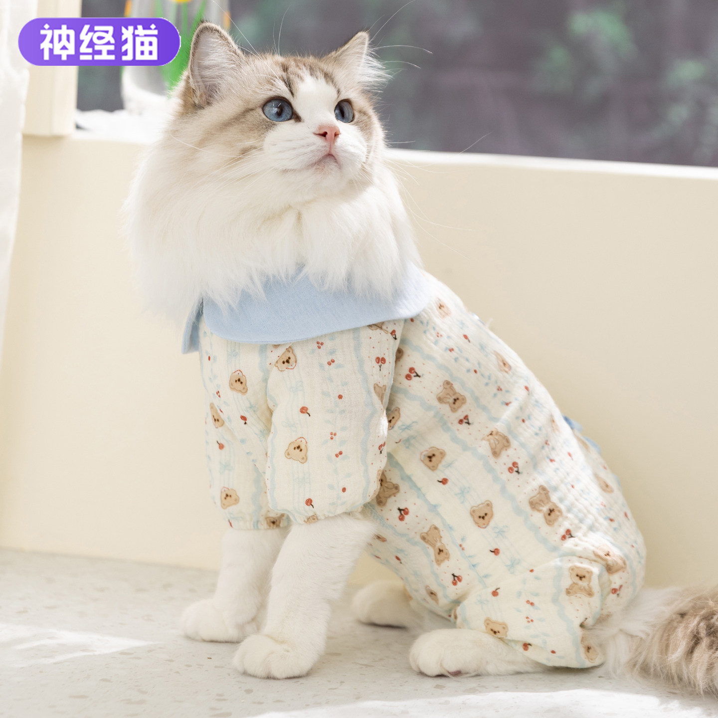 猫咪衣服小猫衣服德文防掉毛无毛猫布偶猫猫春夏透气薄款宠物衣服