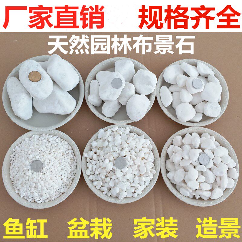 白色鹅卵石白色小石子石头雨花石花盆装饰品铺路白石子装饰石石头|msdalam kategori penghantaran bunga/bunga simulasi/tumbuhan berkebun, Gardening Supplies, Peralatan Perkebunan lain - dari Buy2taobao.com untuk memberikan perkhidmatan ejen Taobao profesional membeli