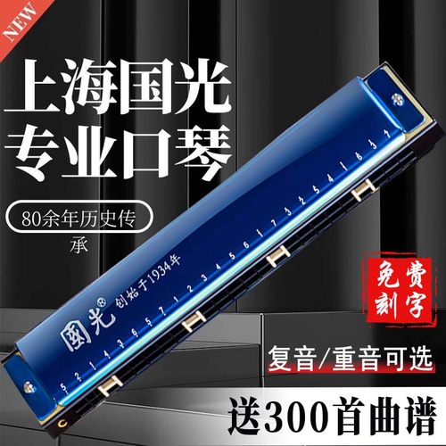 28孔口琴国光初学推荐学生用