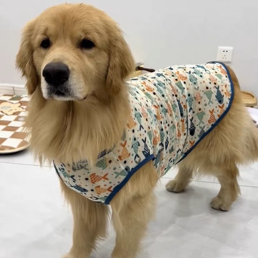 金毛衣服夏季薄款网纱阿拉斯加柴犬萨摩宠物狗狗背心大型犬防掉毛
