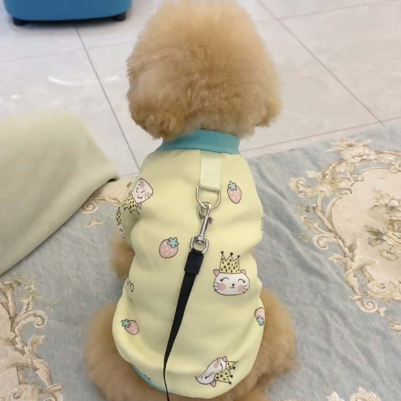 狗狗秋天衣服可牵引小型犬泰迪博美比熊贵宾约克夏猫咪宠物卫衣
