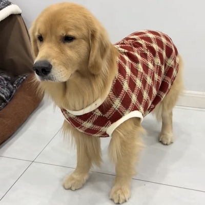小中大型犬狗狗衣服红色圣诞新年装金毛拉布拉多萨摩耶边牧绒背心