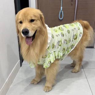狗狗衣服中大型犬夏薄款网纱防虫防晒金毛大狗裙子公主风2025新款
