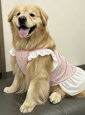 大狗衣服粉色薄款夏天大型犬裙子防掉毛金毛萨摩耶拉布拉多凉凉衣