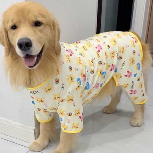 2025新款大型犬狗狗衣服秋季阿拉斯加萨摩耶德牧金毛四脚衣家居服