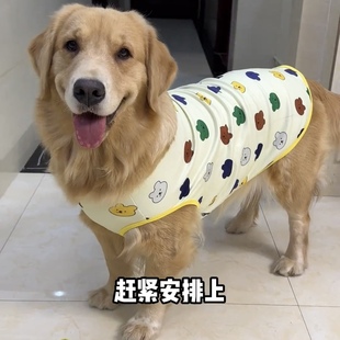2025春秋新款德绒可牵引大狗衣服中型犬柯基金毛拉布拉多边牧背心