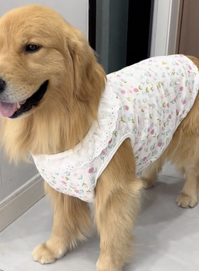 大狗衣服大型犬夏季薄款透气棉纱公主风防掉毛阿拉斯加防掉毛背心