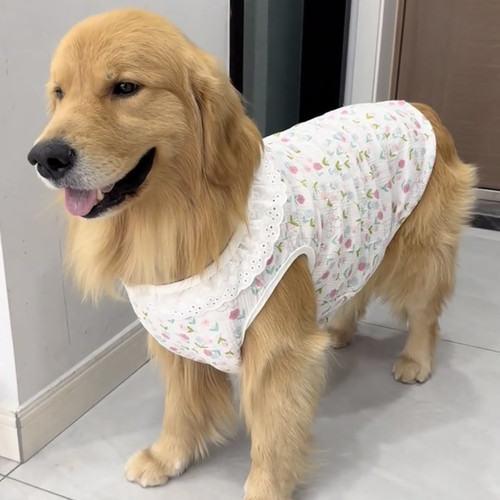 大狗衣服大型犬夏季薄款透气棉纱公主风防掉毛阿拉斯加防掉毛背心