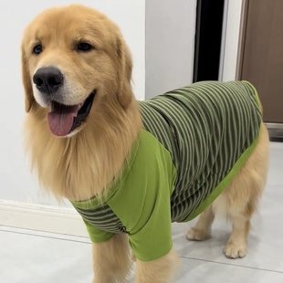 大狗狗秋天衣服可牵引阿拉斯加萨摩耶金毛拉布拉多宠物条纹打底衫