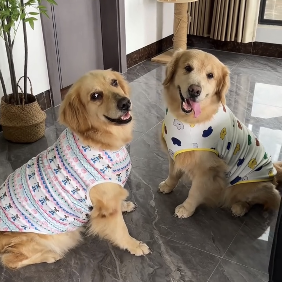 春秋德绒狗狗衣服中大型犬防掉毛拉布拉多阿拉斯加金毛萨摩耶背心