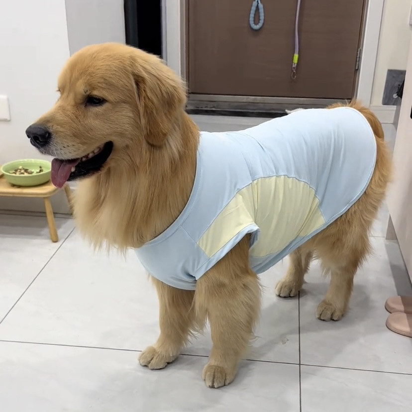 大狗夏季冰丝背心薄款透气防掉毛阿拉斯加萨摩耶大型犬衣服帅气图片