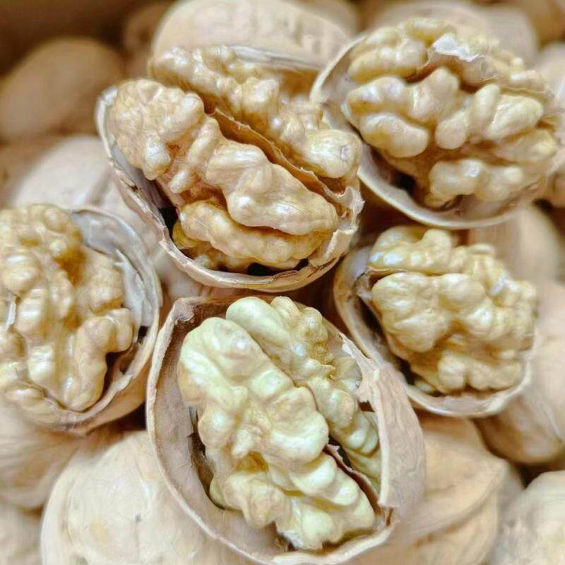 *新货到新疆纸皮核桃特大果185阿克苏产非薄皮原味2斤散装坚果零