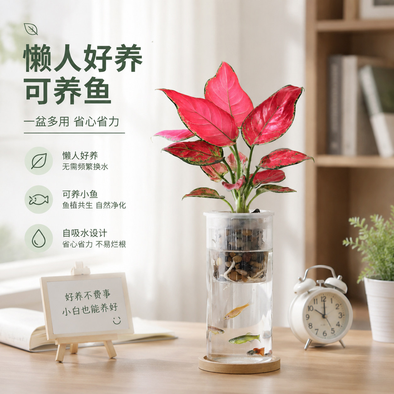 吉利红盆栽办公室内小鱼缸金边吊兰水培绿植生态瓶好养春羽蔓绿绒