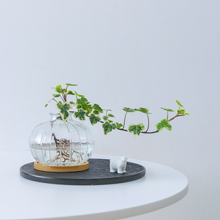 雪莹常春藤盆栽水培花卉植物室内垂吊兰绿植好养常青长青藤