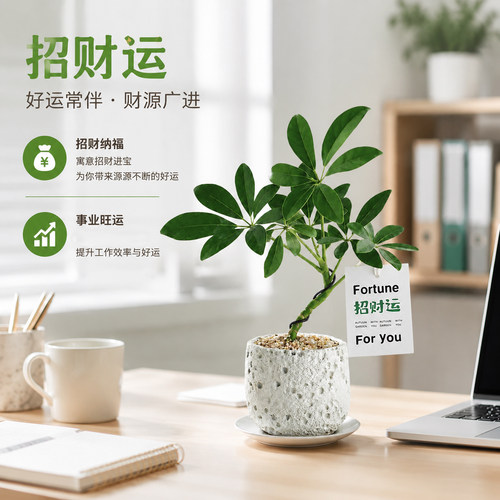 旺宅旺运绿植办公桌摆放超合适