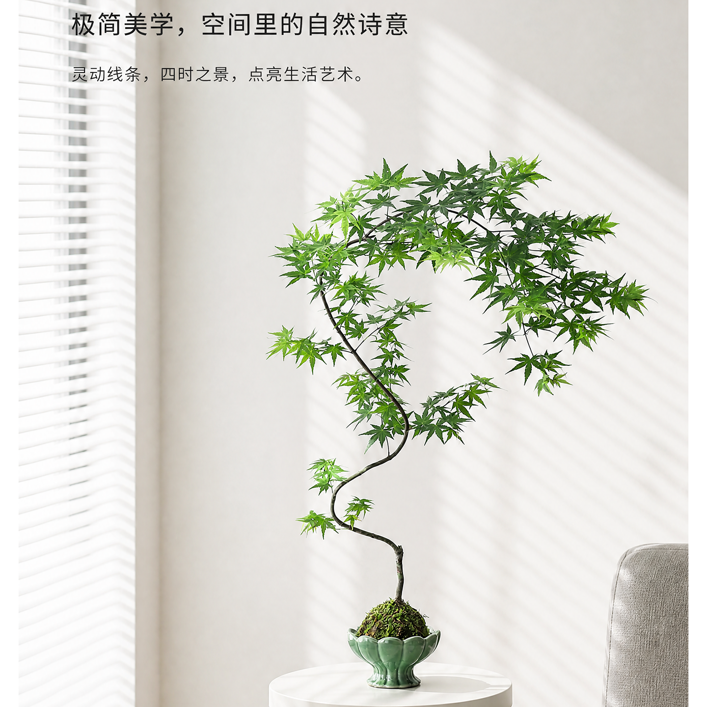 苔玉飘枝流泉枫盆栽室内客厅玄关书房绿植物四季变色好养易活盆景