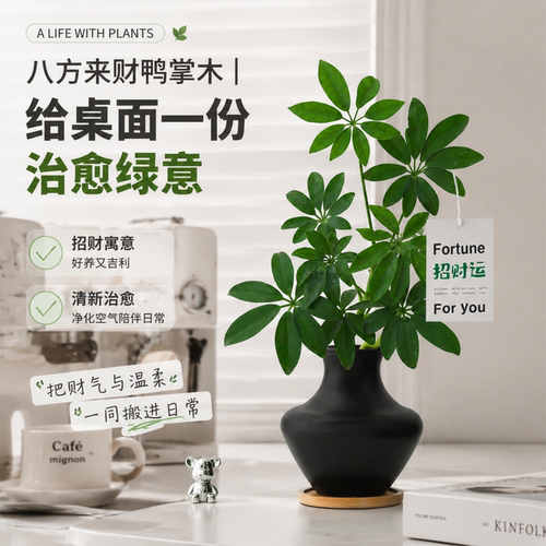emo救星！坏情绪一键清空