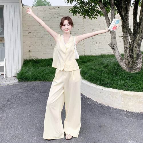 版可通勤职场风穿搭女C98-726新款气质马甲阔拆卸屁帘腿裤两件韩