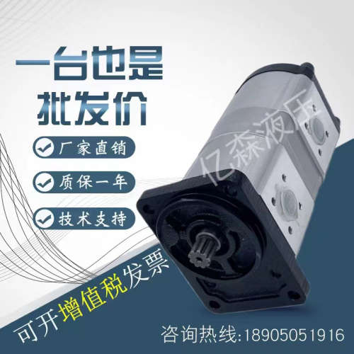 双联齿轮泵AZPNF-12-028/016LDC2020KB 0510767311 挖掘机油泵