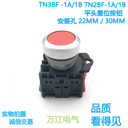 TN2BF-1A/1B 平头按钮 启动 复位开关 一开一闭 TN3BF  22mm 30mm