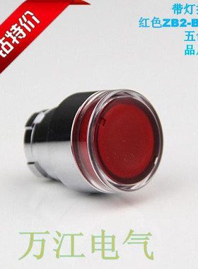 高品质 带灯 按钮头 ZB2-BW33C BW34C BW31C BW35C BW36C 金属头