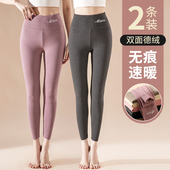 女薄款 打底线裤 内穿秋冬季 高腰棉毛裤 加绒加厚保暖裤 德绒无痕秋裤