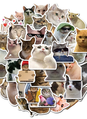 50PCS Cat MEME Funny Animals Stickers Vintage Toy DIY Kids N