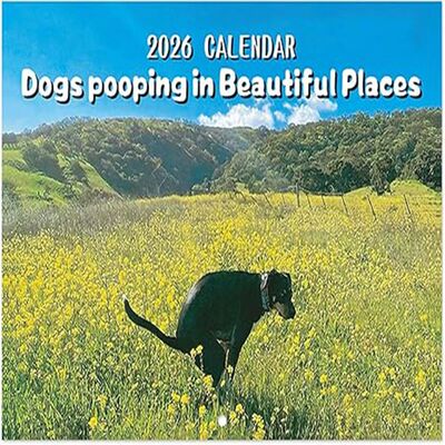 Pooping Dog Calendar 2026 Large Monthly Grid Planning With I