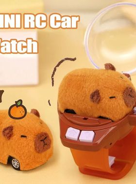 Capybara Rabbit Remote Control Car Watch Toys with Light 2.4