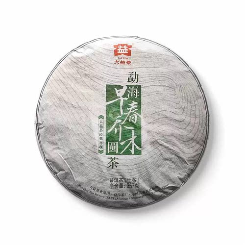 大益普洱茶2013年早春乔木生茶