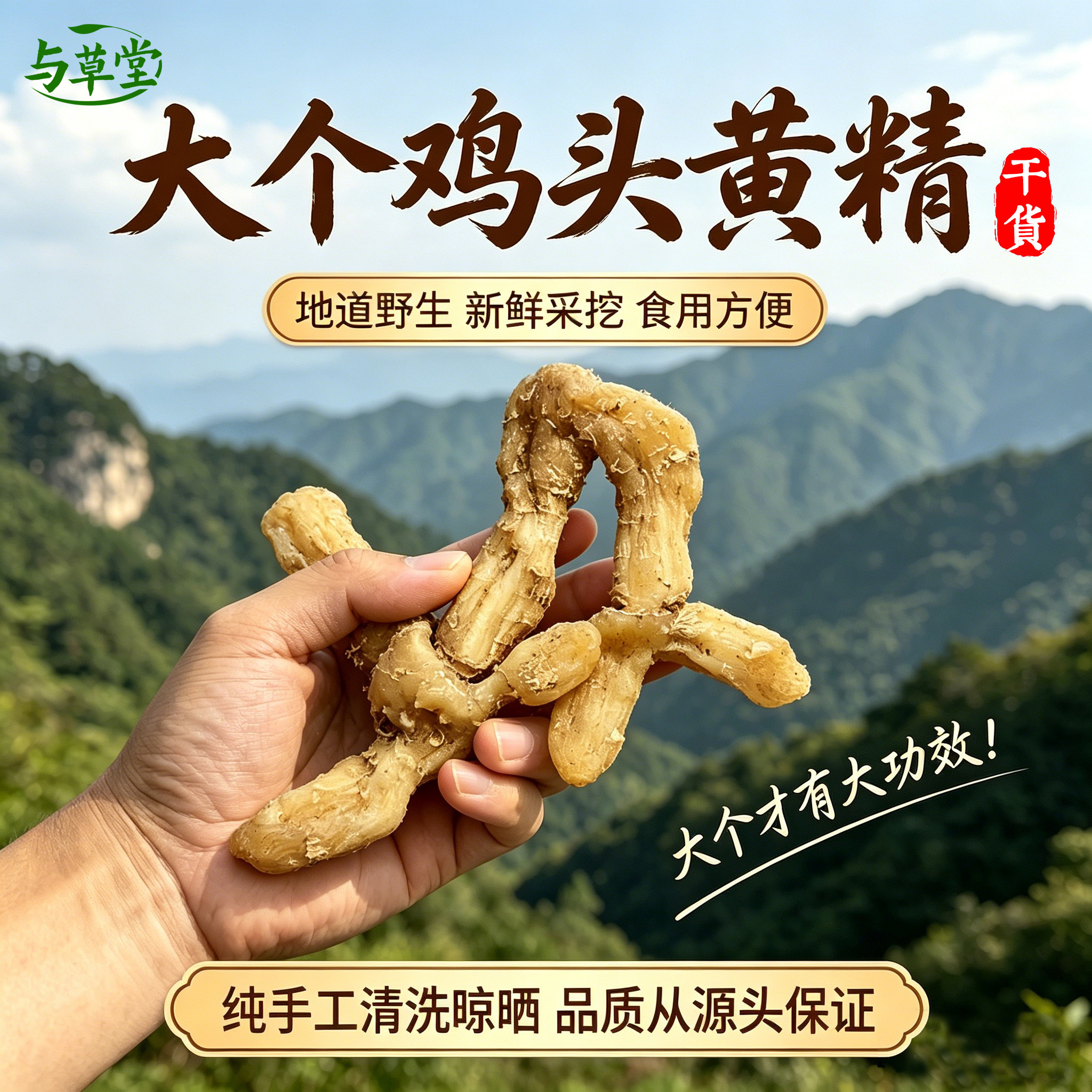 伏牛山黄精中药材正品鸡头黄精新鲜清洗晾晒干货大包装泡酒煲汤