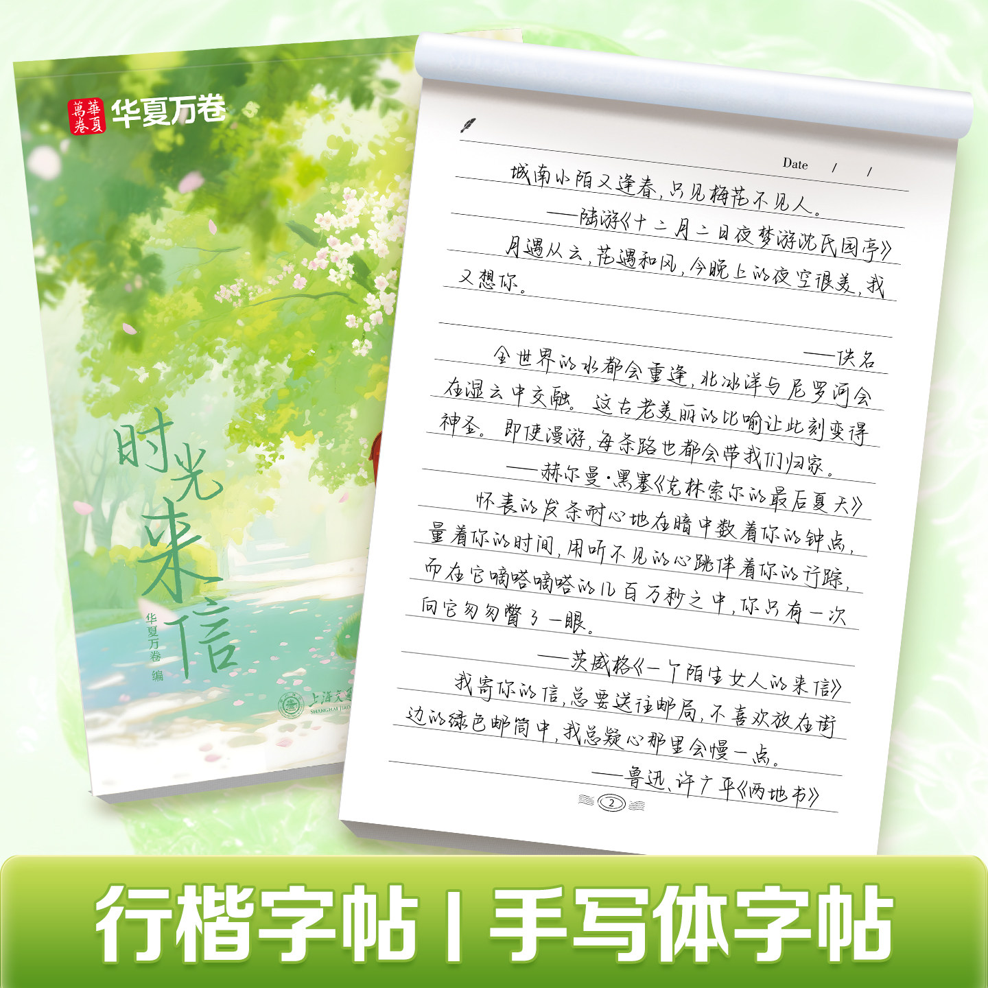 手写体成人练字女生字体漂亮大气